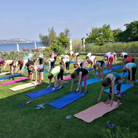 Alekos Beach Houses-Alekos Beach Complex 里科索翁 外观 照片